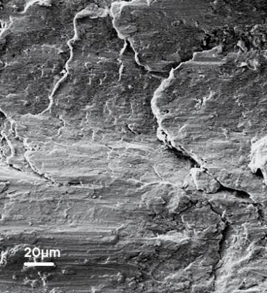 New technologies to transform hydrogen storage